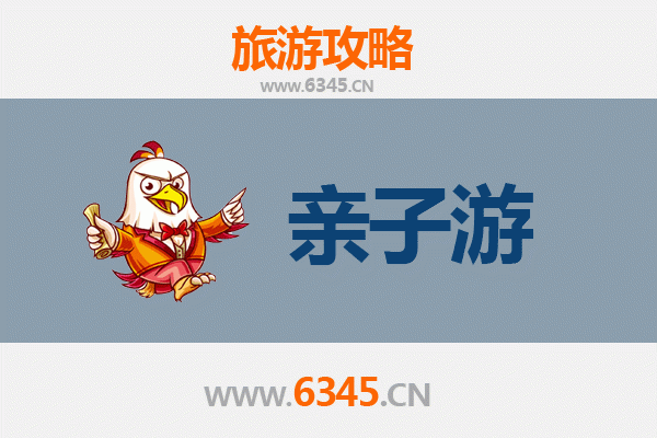 九龙亲子游全攻略：带娃玩转香港魅力街区